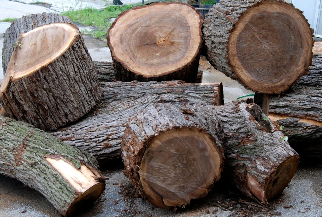 Nguồn cung khan hiểm của gỗ óc chó
