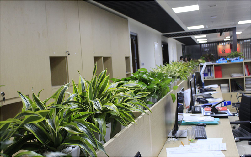 Cây xanh để phòng làm việc giúp nhân viên giảm căng thẳng